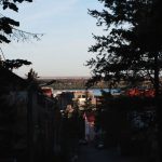 Day Trip From Belgrade - a view of a lake through some trees
