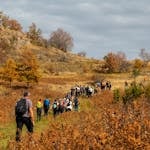 A group of people enjoy hiking through an autumn landscape near Belgrade, Serbia.